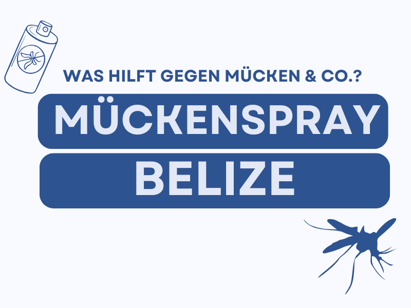 Grafik mit Mückenspray-Dose und Mücken-Symbol, dazu der Text: ‚Was hilft gegen Mücken & Co.? Mückenspray Belize‘ in blauer und weißer Schrift.